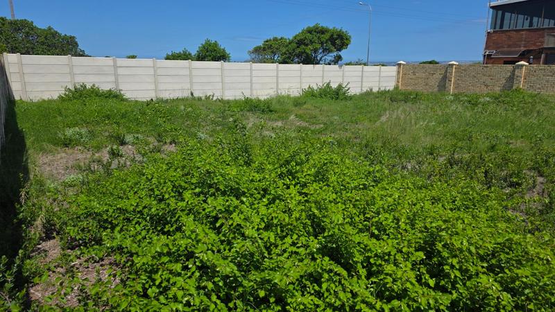 0 Bedroom Property for Sale in Reebok Western Cape